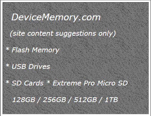 DeviceMemory.com * Domain Name Internet Property * Flash * USB Drives * SD Cards