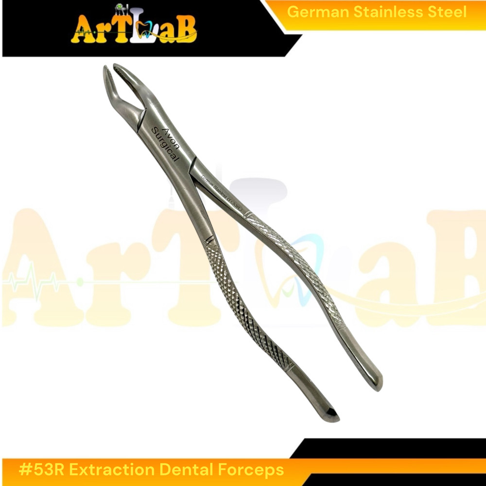Right Upper First & Second Molar Extraction Forceps #53R, Serrated, 1pc