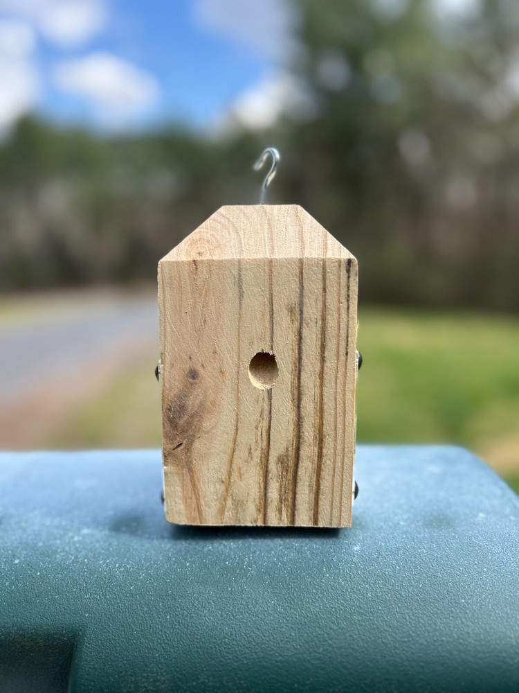 Carpenter Bee Trap