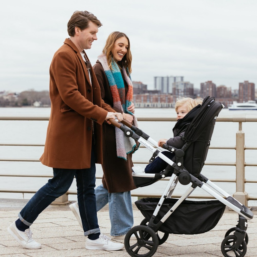 Mockingbird Single-to-Double Stroller 2.0