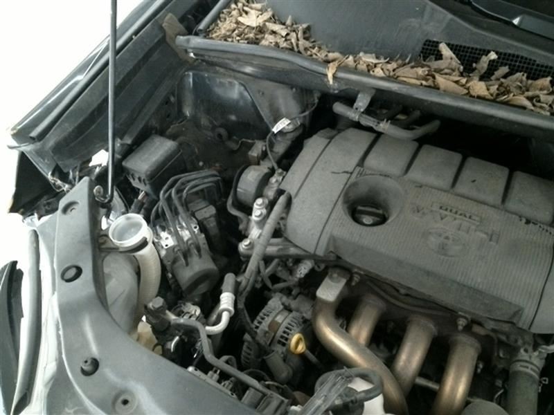 HIGHLANDR 2010 Transmission Shift 104547408