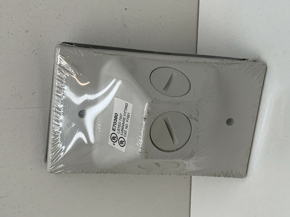 (2-Pack) Carlon White Rectangular 1/2" Threaded Nonmetallic Lampholder Cover