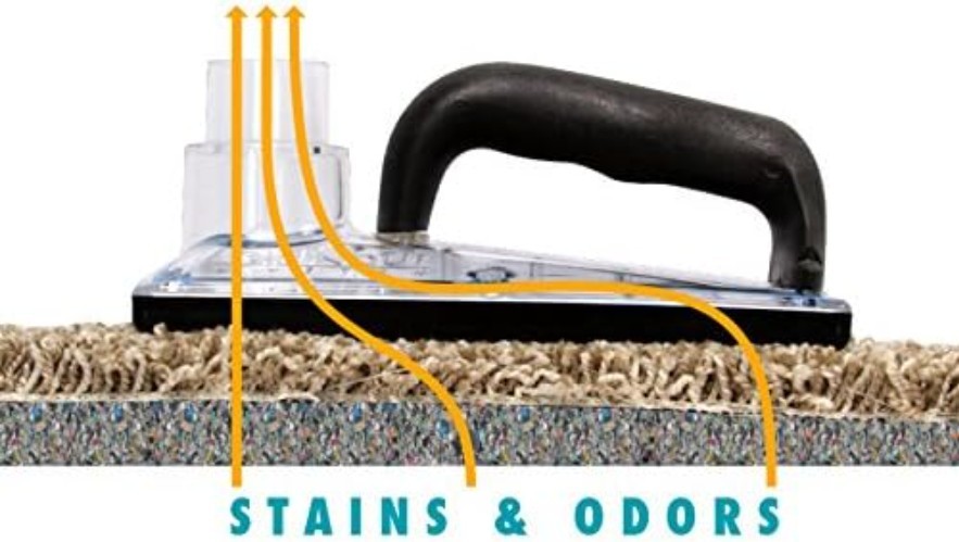 Professional Carpet Stain Remover