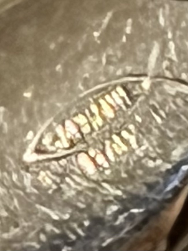 Vintage Sammann Italy 4 1/2” Button Hole Scissors