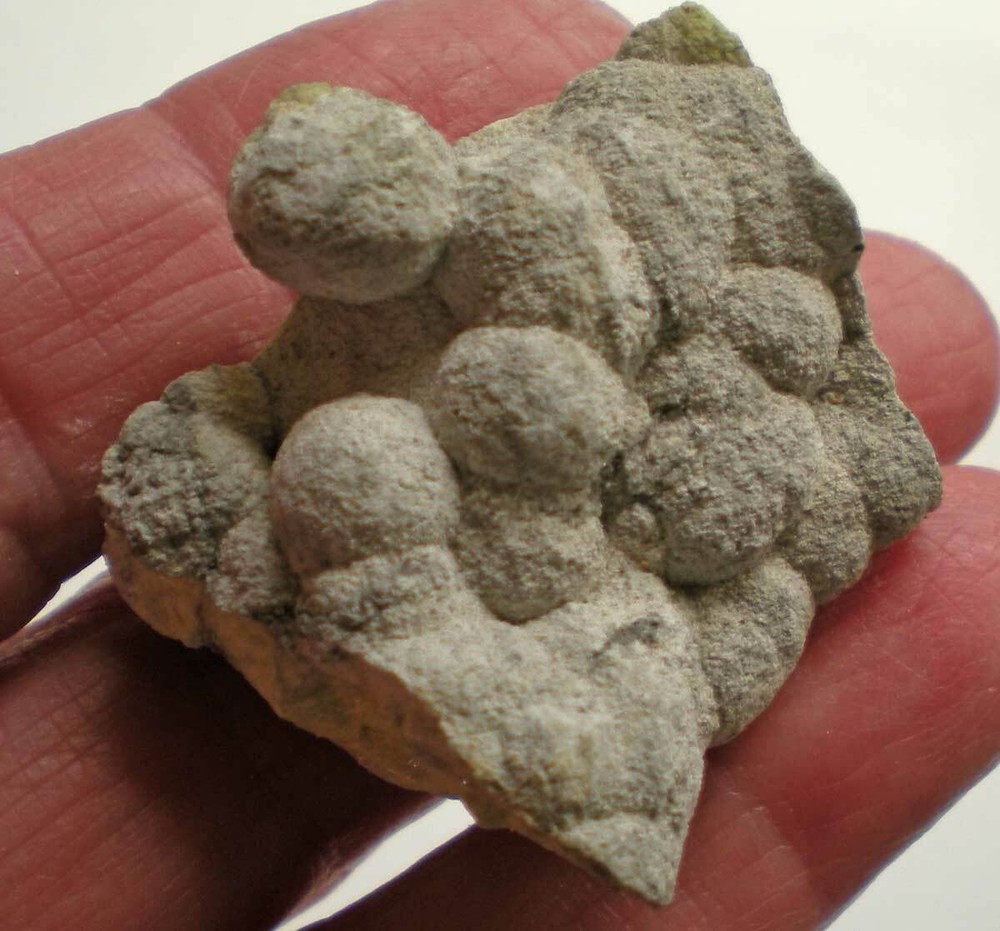 Wavellite - Arkansas - 7 Small Specimens R1006