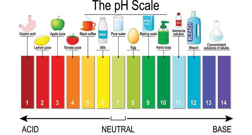 20 Pack 1600 Strips pH.1-14 Extensive Test Paper for Water Soil Testing