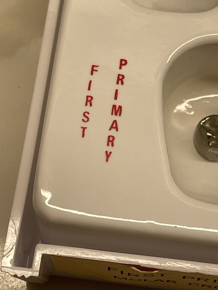 First Primary Molar Crowns by Rugby Labs