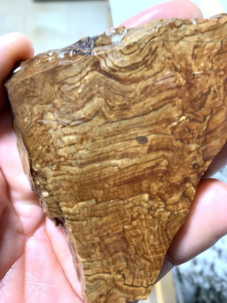 biggs jasper rough slab