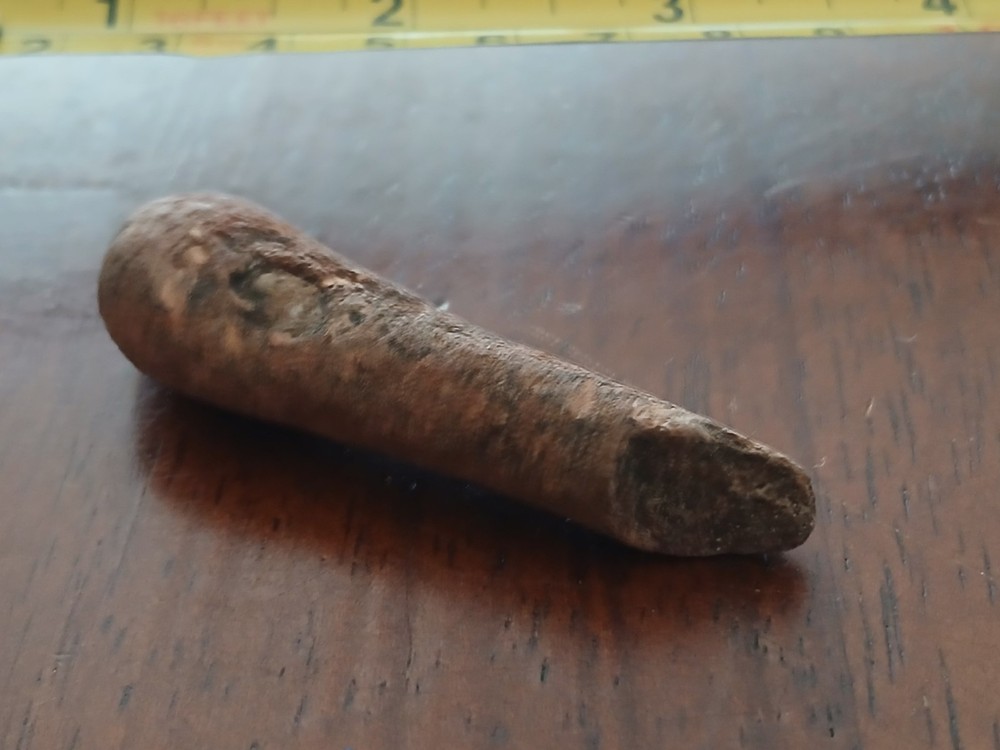 Fossilized bone Unknown specimen New Mexico