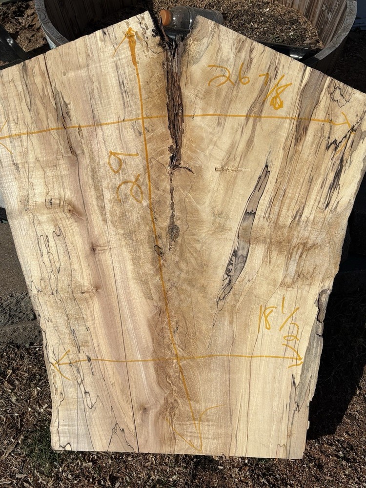 Spalted Maple Wood