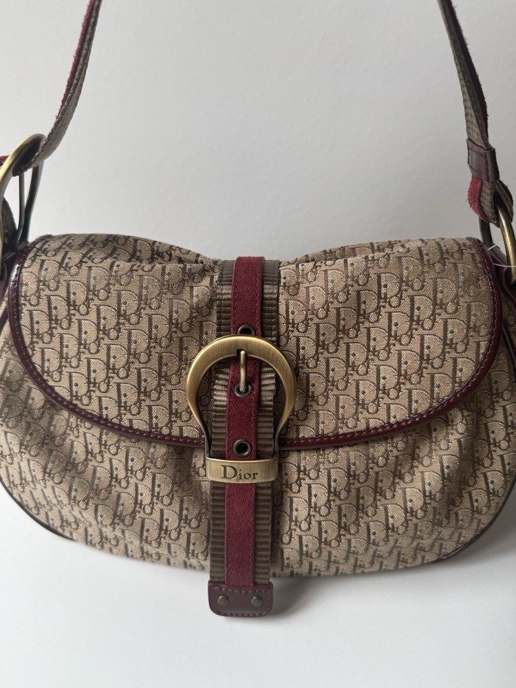 Dior Trotter Trotterissimo Bag