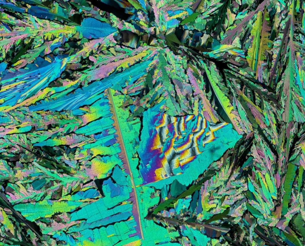 Microscope slide for polarization, Ethyl 4-hydroxybenzoate