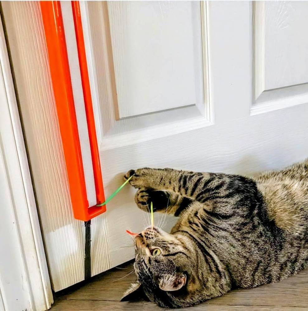 FLING-AMA-STRING Automatic cat toy: Interactive Cat Toy for Bored Indoor Cats...