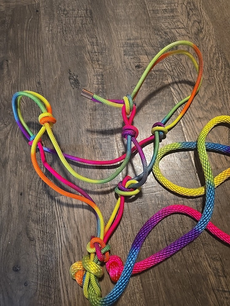 rope halter and lead