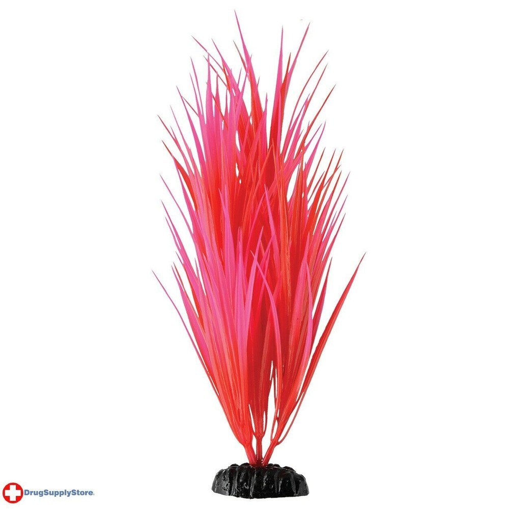 RA Rose Nile Grass - 11.5"