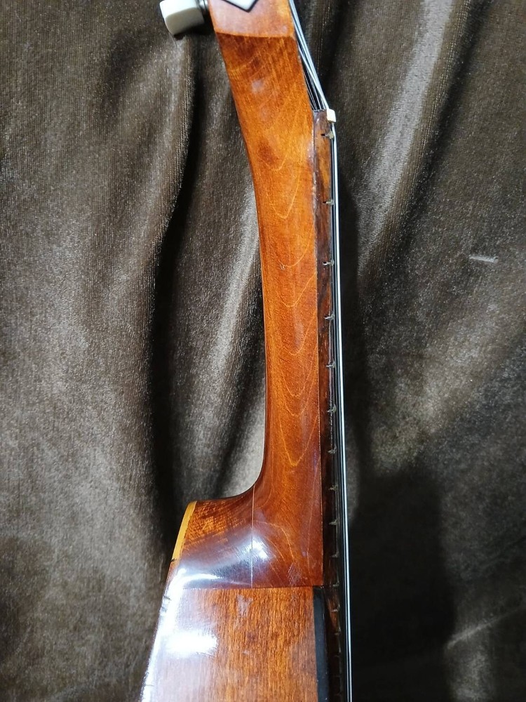 VINTAGE NICE SOUNDING 12 STRING TEARDROP MANDOLIN**SEE VDO**