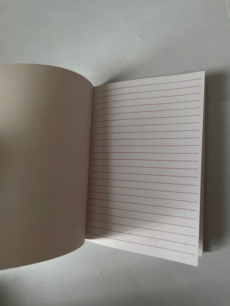 mix it gone shopping mini notebook 2011 Bella Pilar lined pages