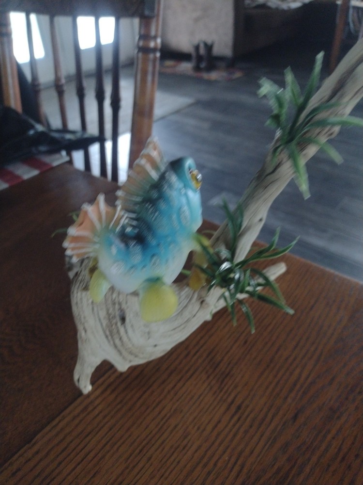 Moss Eater Flexi Fish On Driftwood