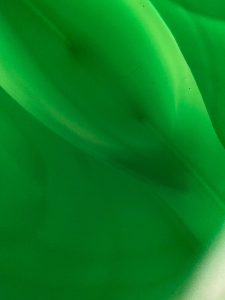 Green Plastic Snail Watering Can