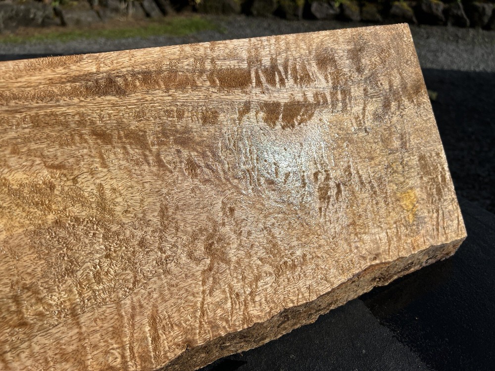Hawaiian Curly Mango Board #14063