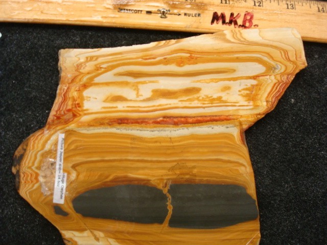 huge owyhee jasper slab