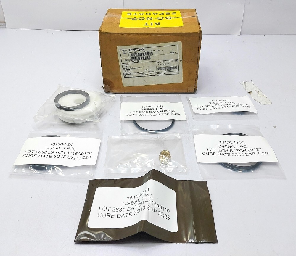 CTRL System 18100-101C O-Ring 20001203