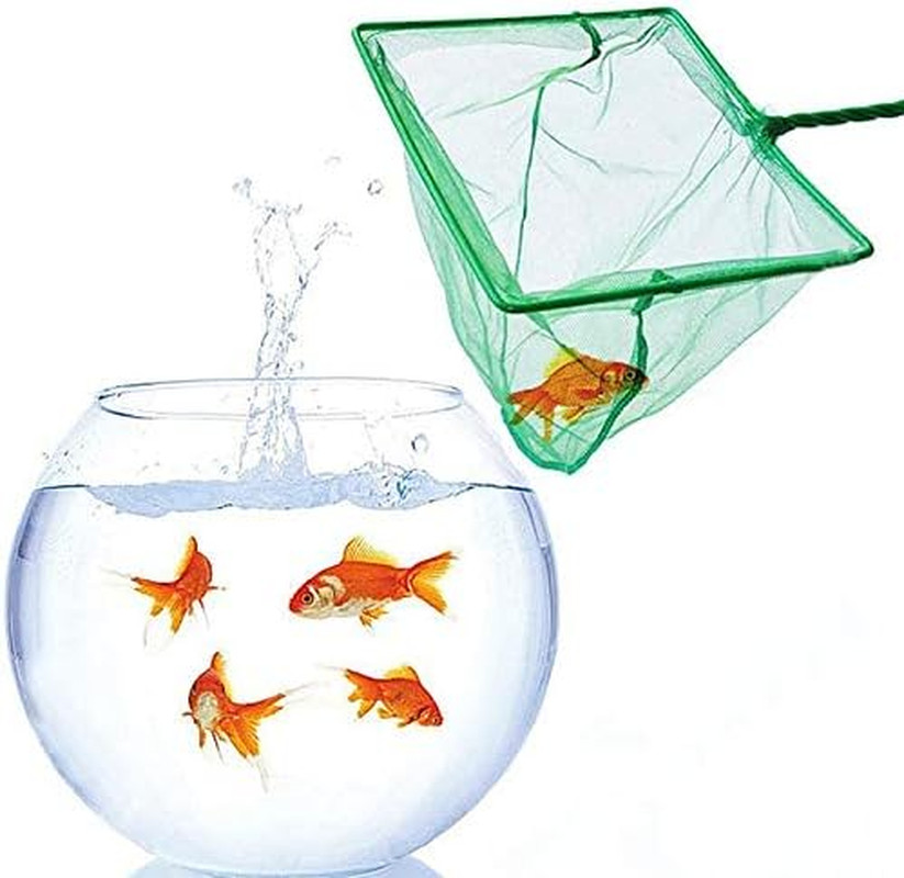 2 Pack Aquarium Fish Nets, 4 Inch Small Mesh Fish Catch Nets with Plastic Handl