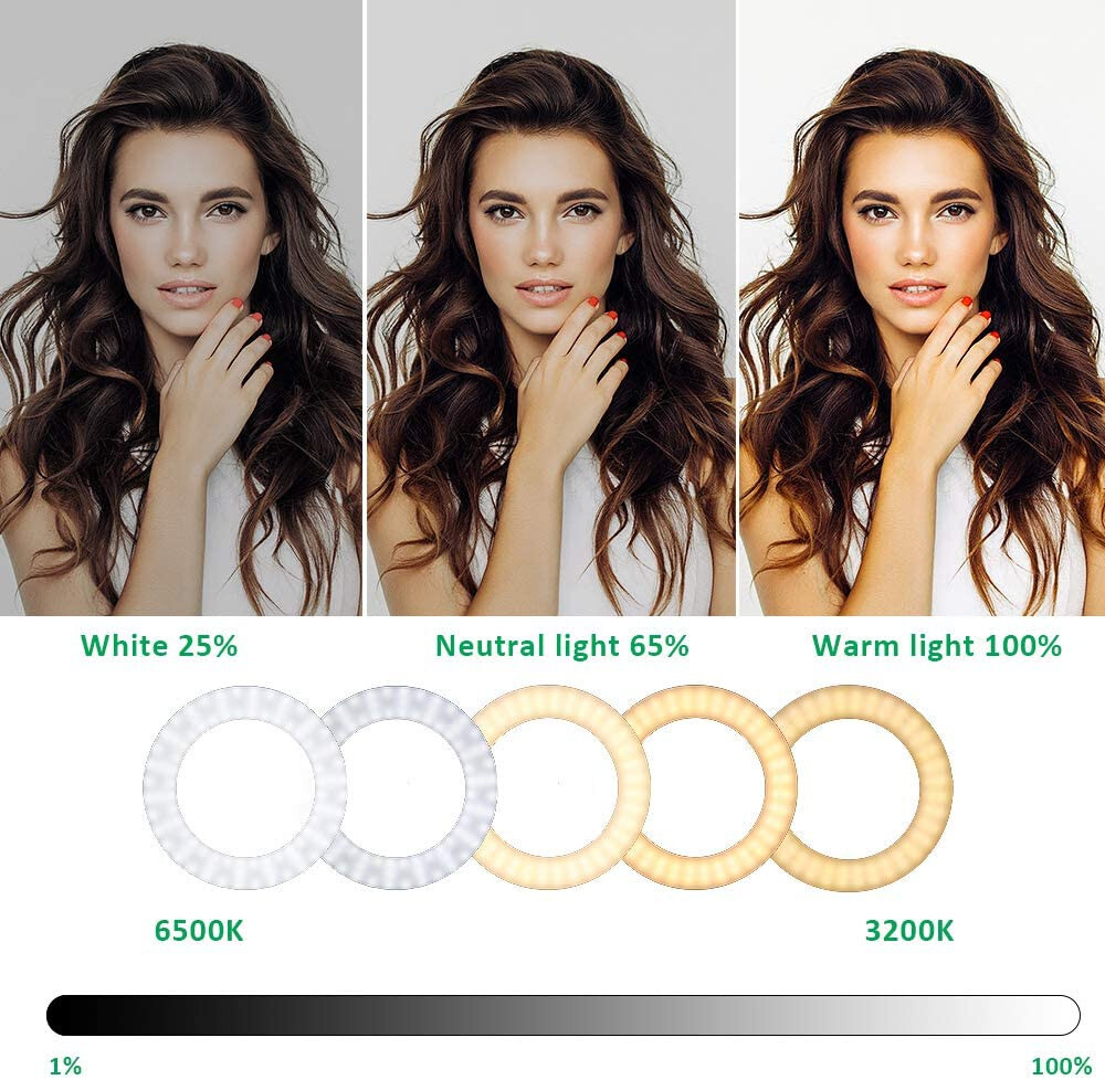 Double 5 inch Ring Light with Mirror, Phone Holder