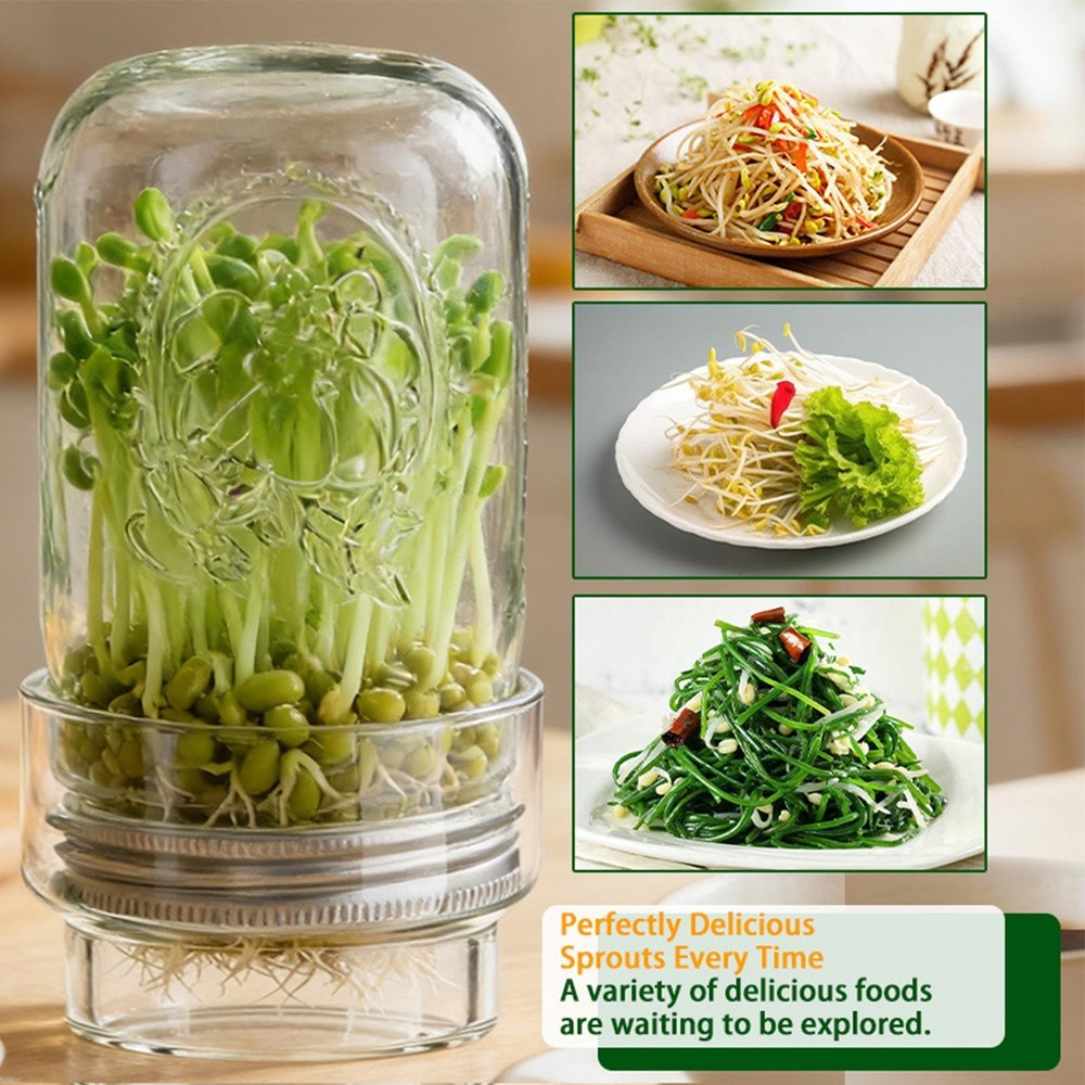 Sprouting Jar Kit Mung Bean Sprouts Growing Broccoli Sprouts Growing