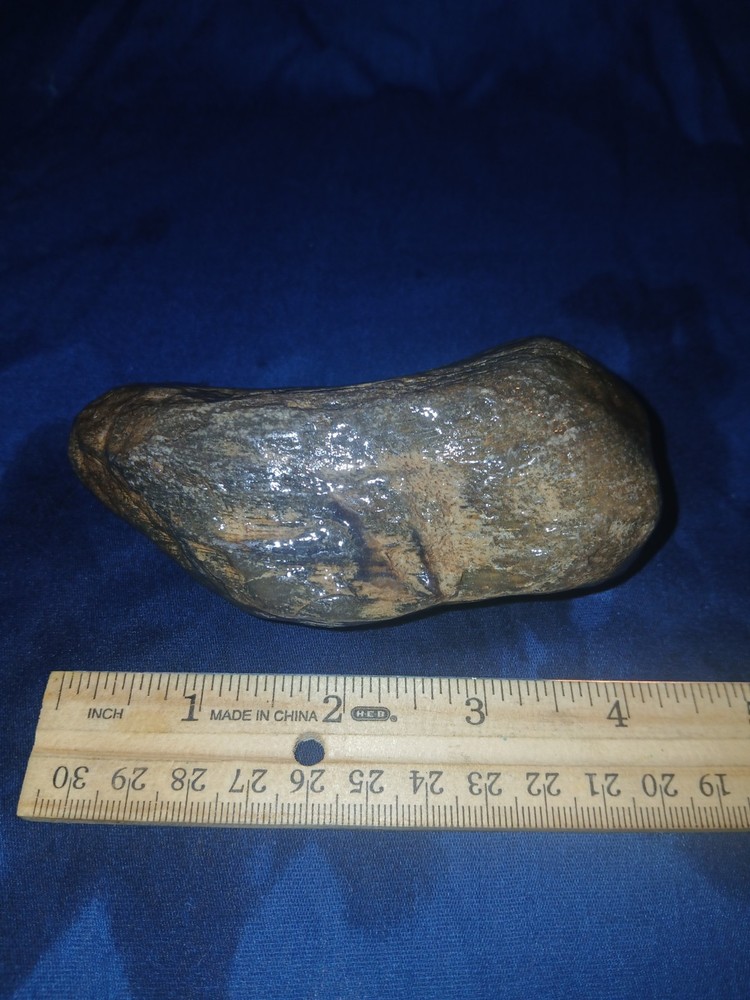12.2 oz Petrified Wood