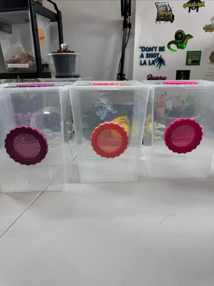 Isopod/ Reptile Enclosure Vents 3d Printed