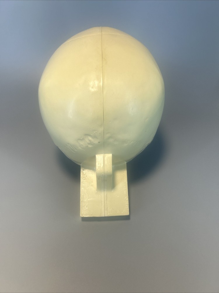 Synbone, Human Skull, Surgical, Training, Education,