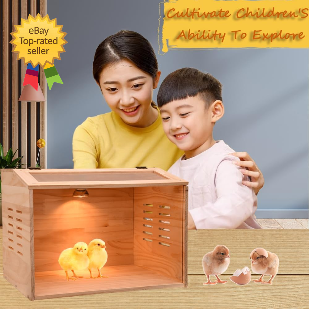 Brooder Box for Chicks, Chicken Brooder Box Chicken Heater Poultry Brooder with