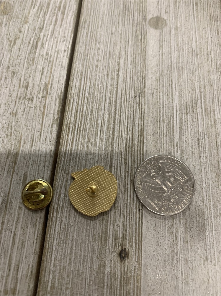 “Every Scholar Has A Teacher” Apple Pin