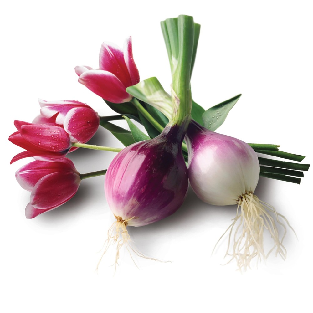 Granular Bone Meal Fertilizer, Strong Root Development for Bulbs, Tomatoes, R...