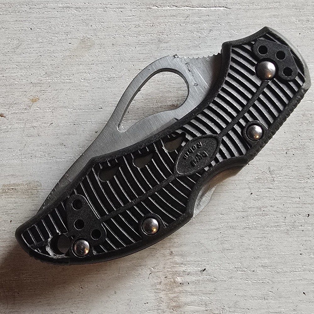 SPYDERCO BYRD ROBIN LOCKBACK KNIFE