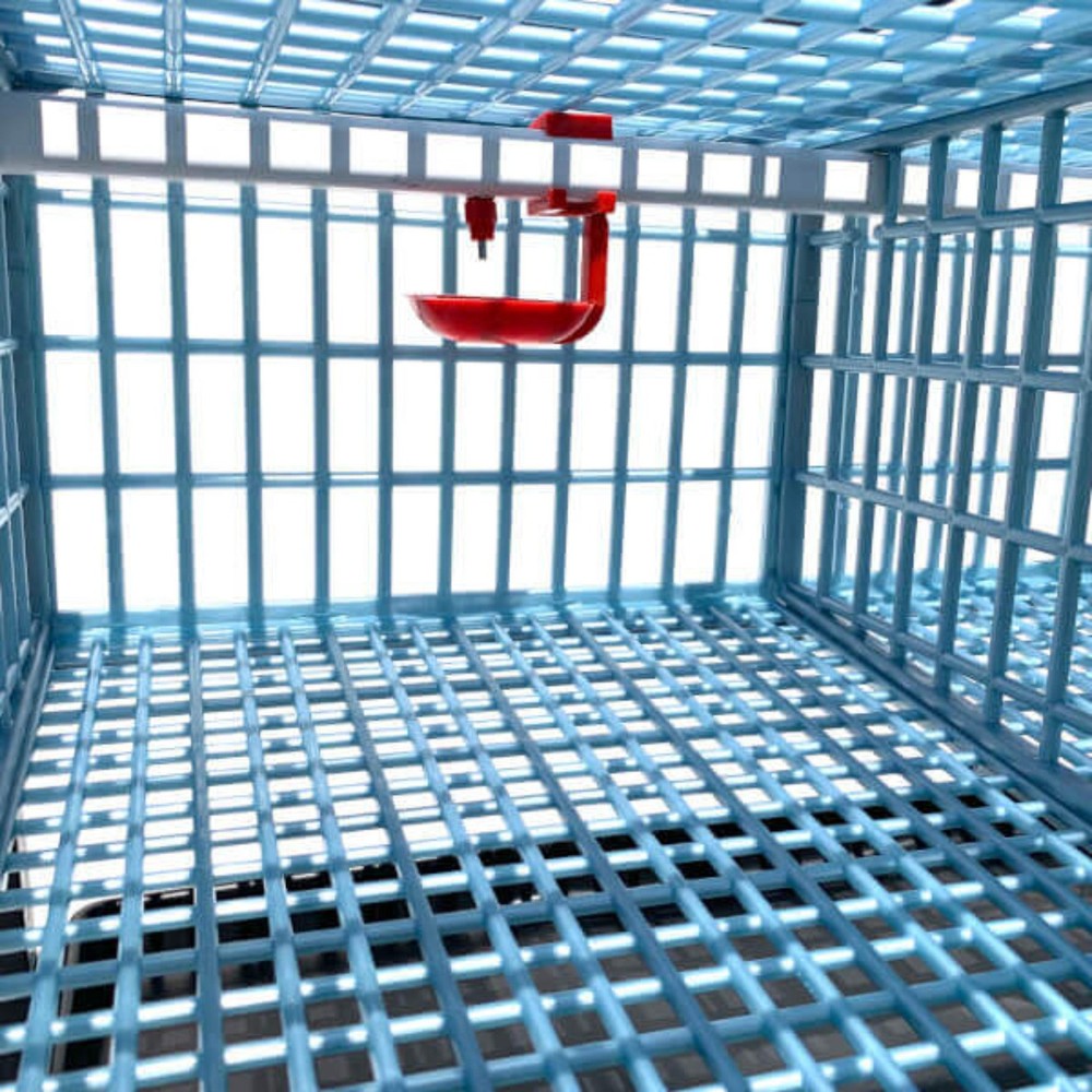 Quail Cage - 1 Layer