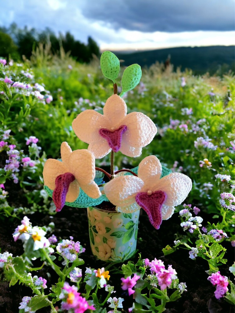 Orchidea Mini Crochet