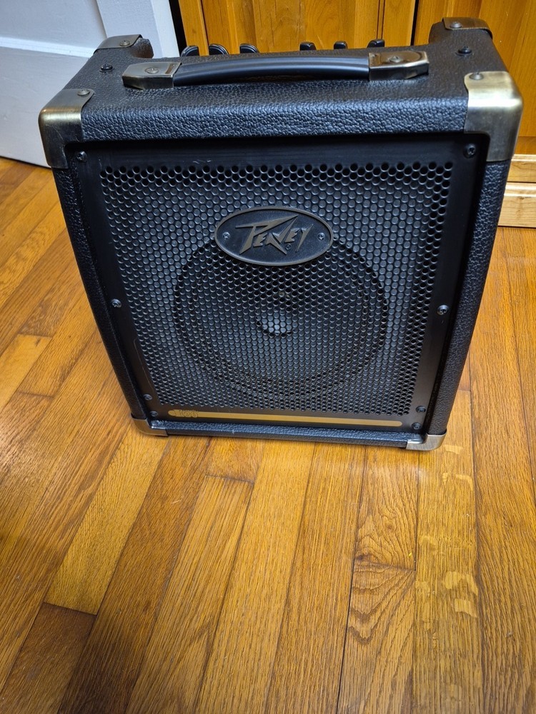 Peavey Coustic E20 Tested
