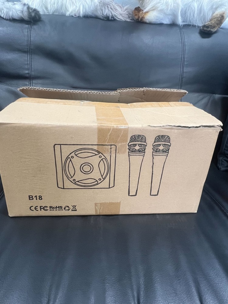 Tonor karaoke machine