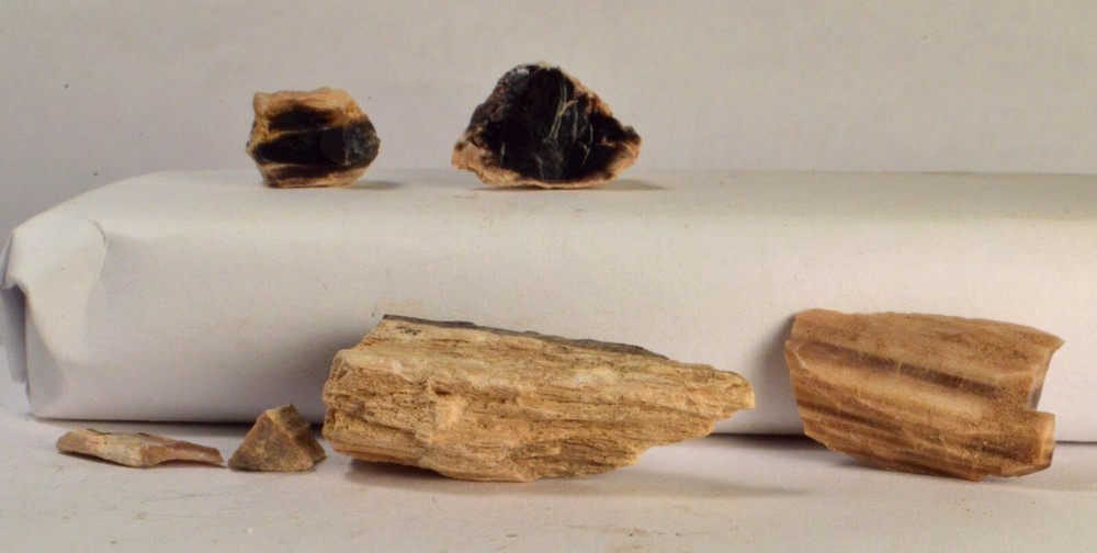 #10,203 Petrified Wood - Vale, Oregon