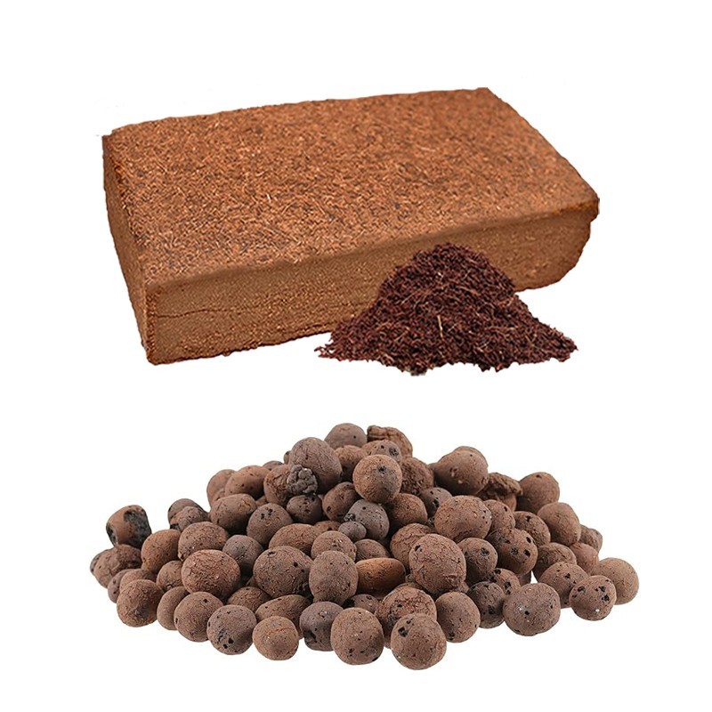 Coconut shell bricks + clay pebbles, suitable for planting, herbaceous plants
