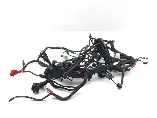 Main Engine Wiring Harness 2006 BMW R1200GS ABS 3032A