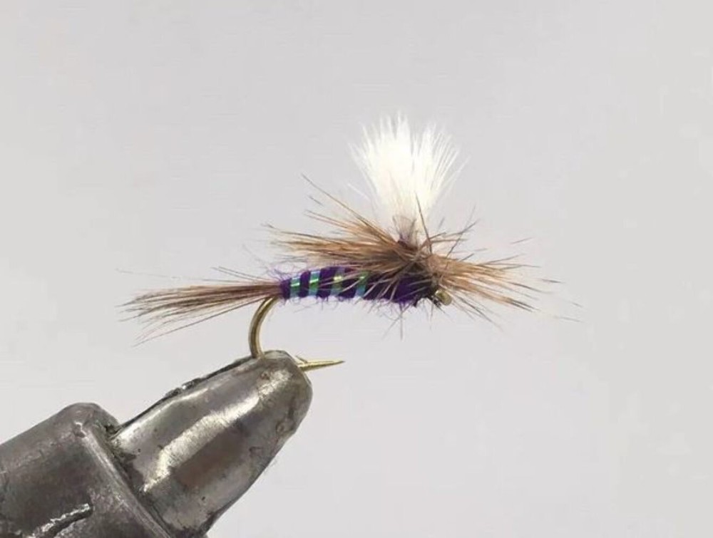 One Dozen (12) - Compara Wulff - Purple - Dry Fly