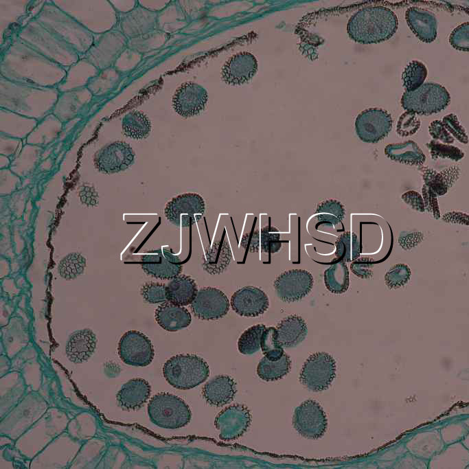 100pcs Glass Prepared Basic Science Microscope Slides Sample Biology Pathology