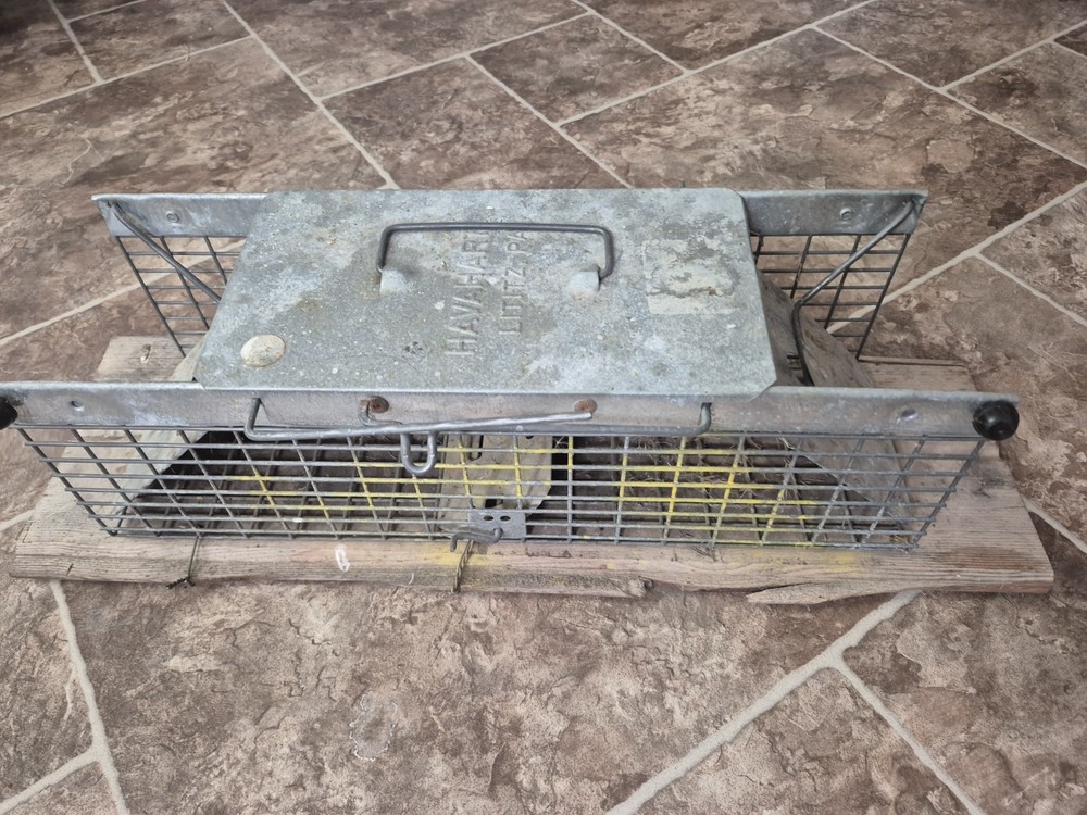 VINTAGE HAVAHART SMALL LIVE TRAP