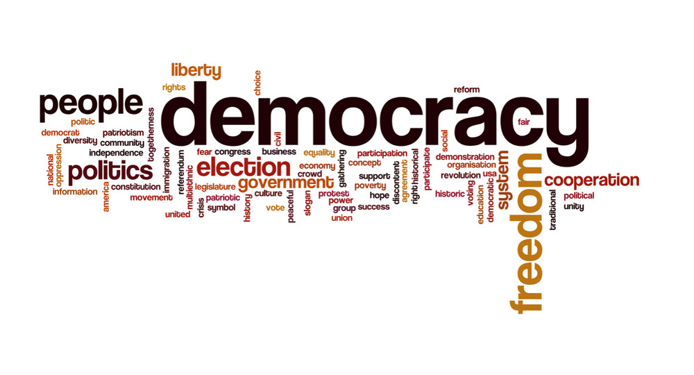 DemocracyWatchdog.com .com easy to remember two word domain name