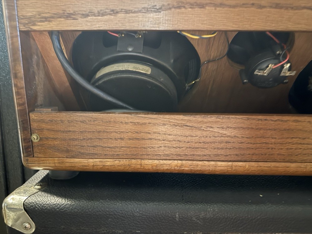 Rare Guild Tamarack Amplifier