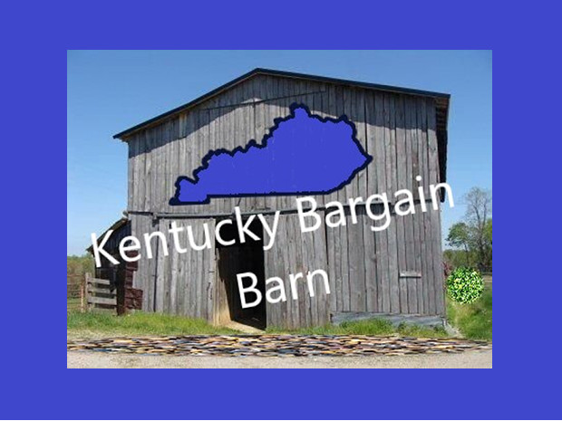 WIRELESS HANDHELD KARAOKE MICROPHONE HIFI SPEAKER SILVER DS868