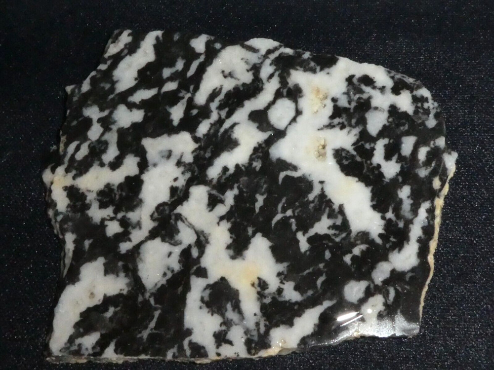 Zebra stone jasper - slab 4 1/2" x 4" rough-cabbing--display-science